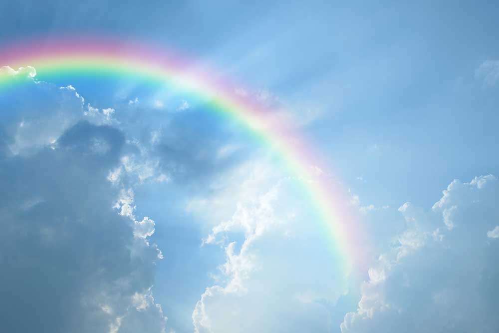 picture of Rainbow