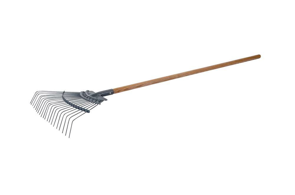 picture of rake