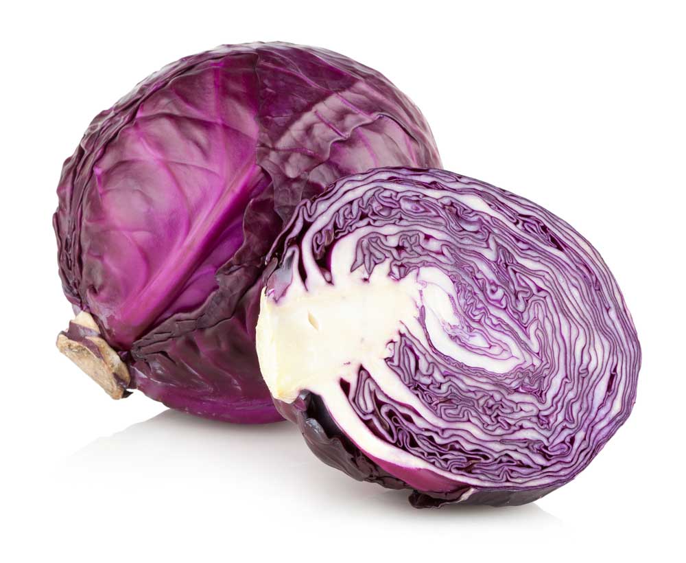 picture of red-cabbage