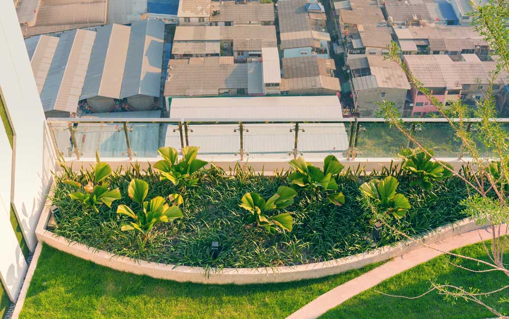 picture of roof garden