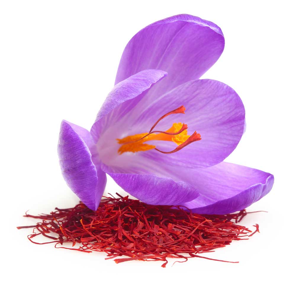 picture of saffron