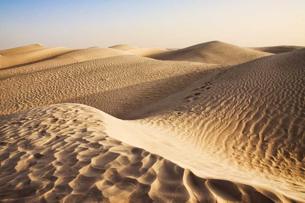 picture of sand dune