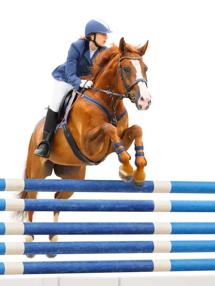 picture of show-jumping