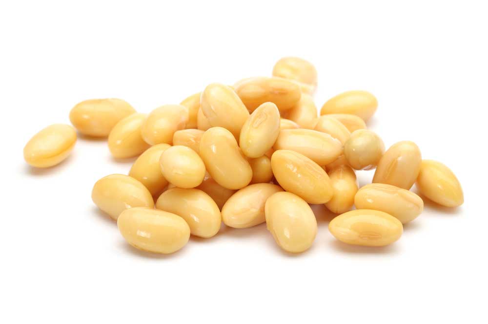 picture of soya-bean