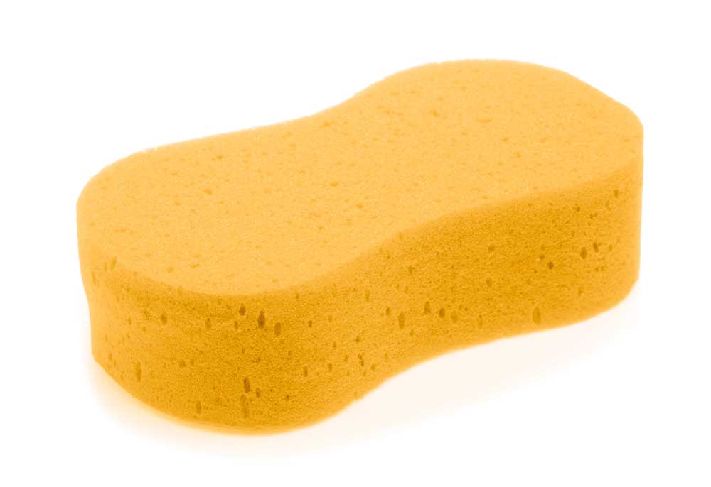 picture of Sponge