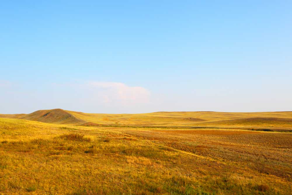 picture of steppe