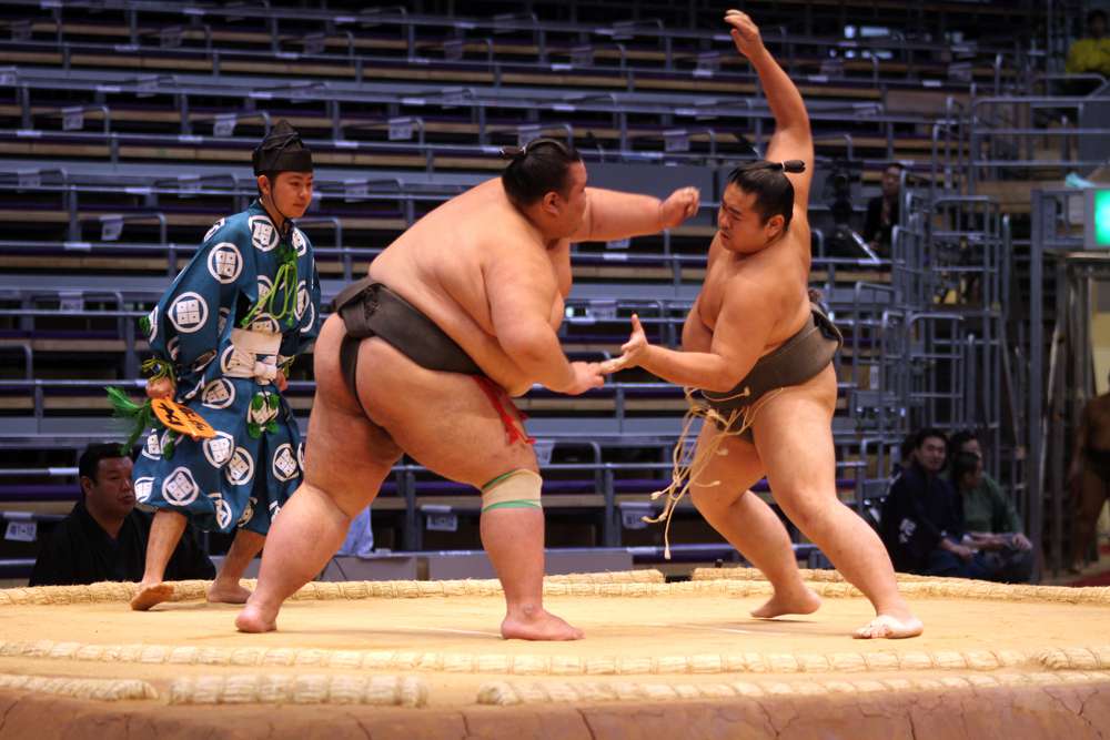 picture of sumo