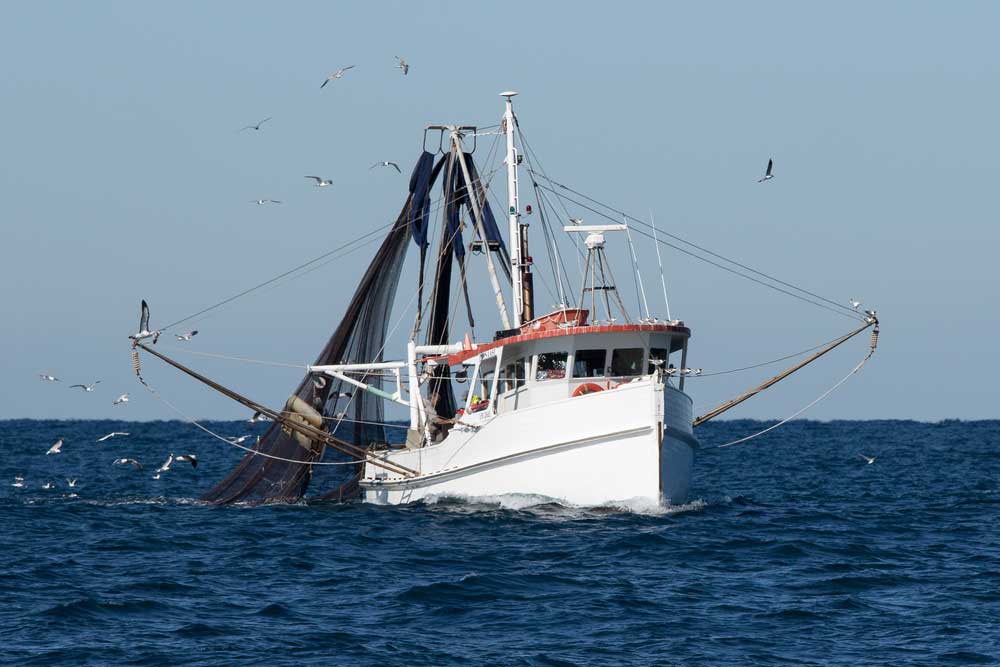 picture of trawler