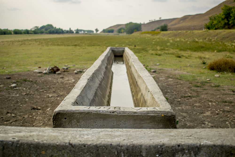 picture of Trough