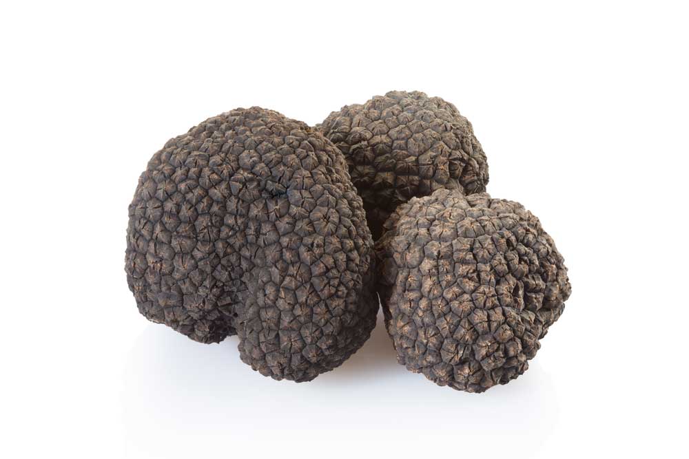 picture of truffle