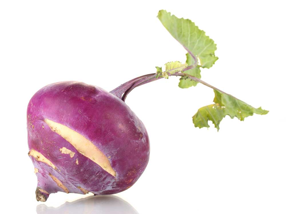 picture of turnip