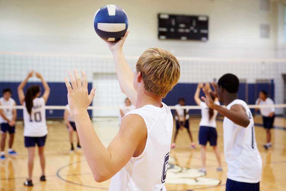 picture of volleyball