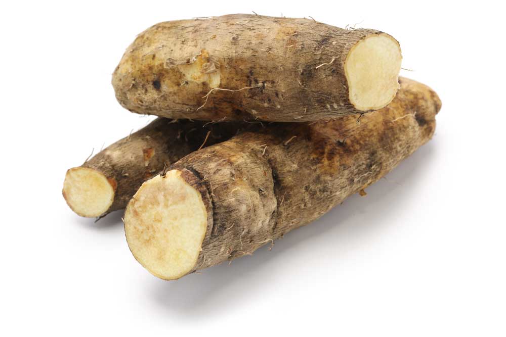 picture of yam